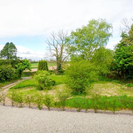 Willa Berrylane Enniscorthy Zewnętrze zdjęcie