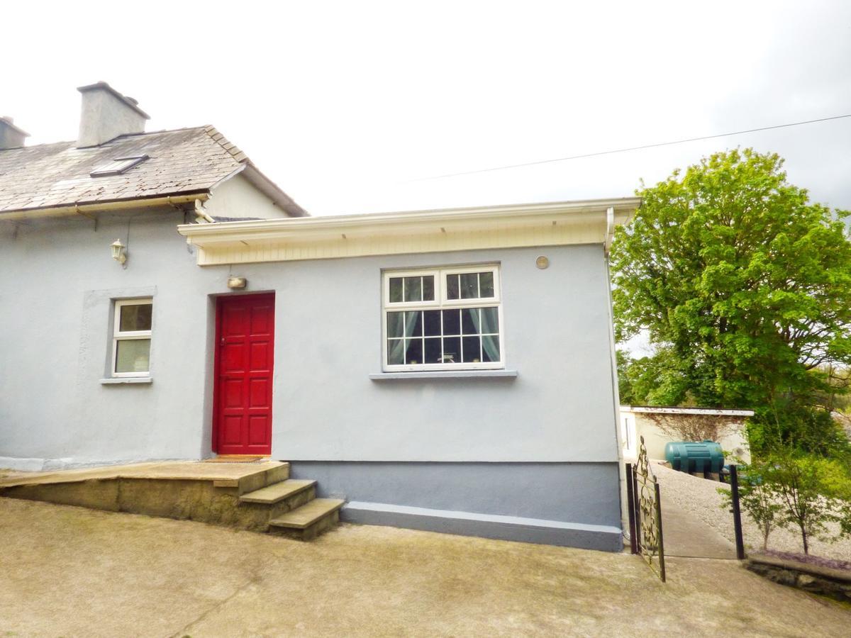 Willa Berrylane Enniscorthy Zewnętrze zdjęcie